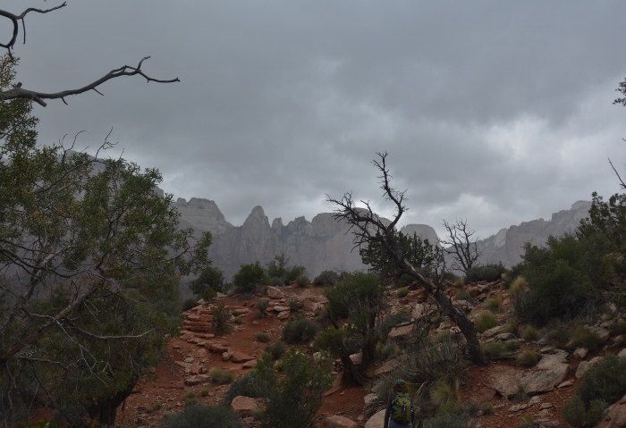 The Watchman Trail 